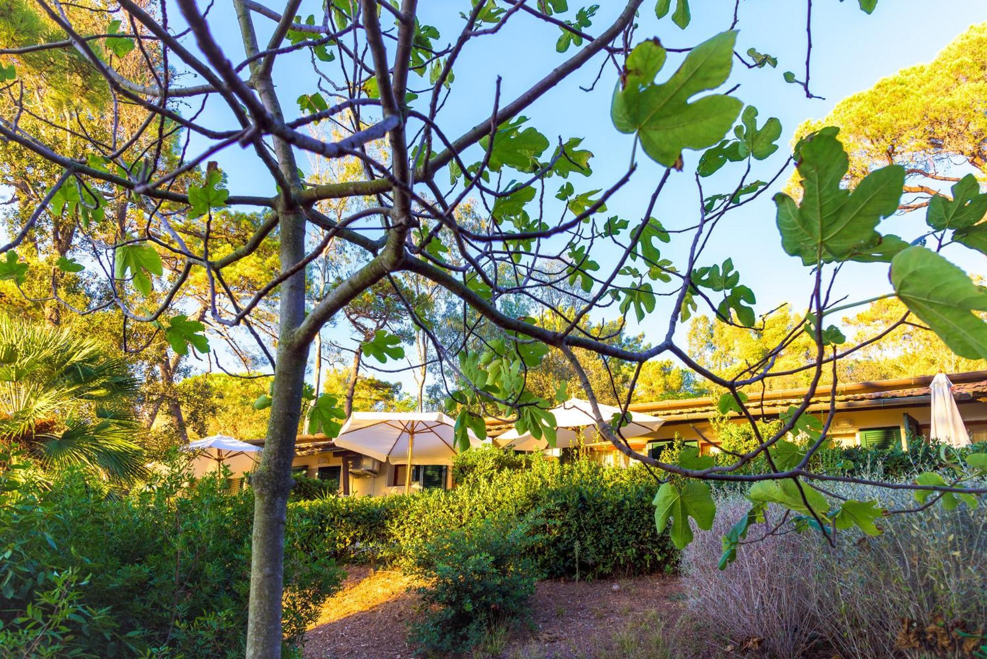 Hotel Villa Ottone Portoferraio Εξωτερικό φωτογραφία